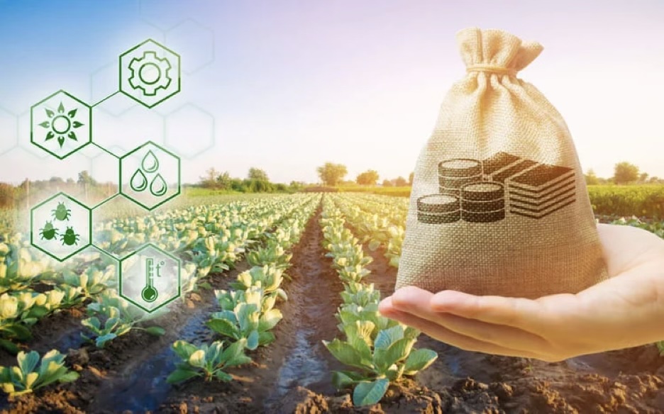 yield farming